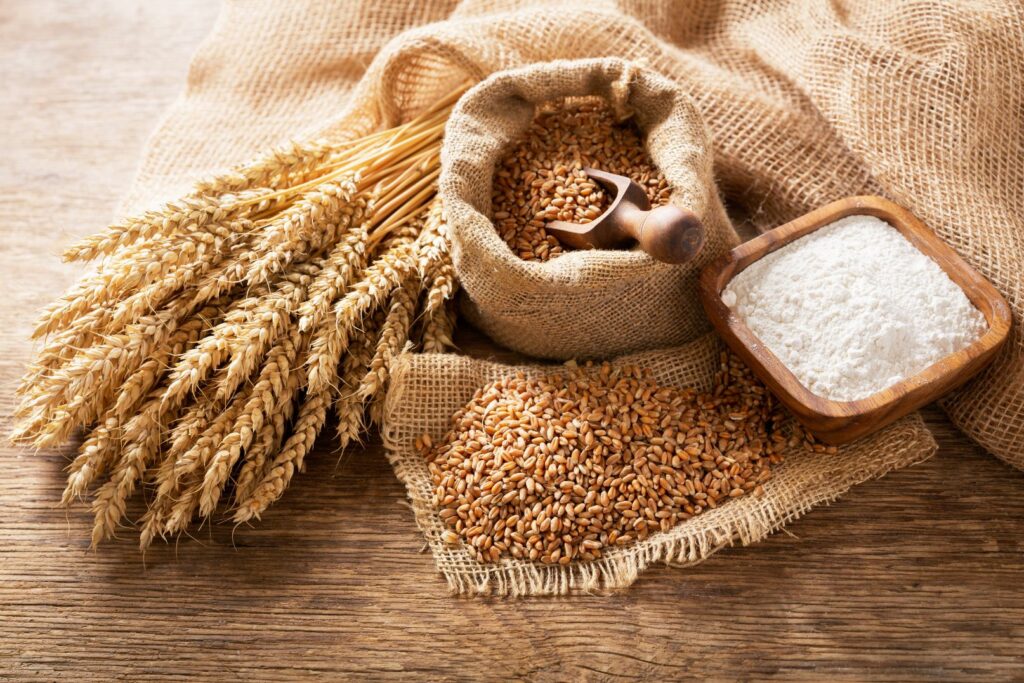 illustration wheat gluten