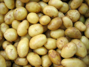 Potato Industry Fear: Seeds Marketing Policies Face Parliament Vote