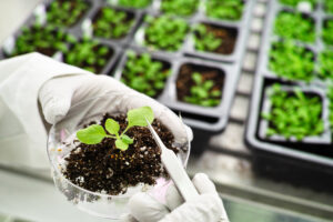 Europe Advancing with Biosolutions for a Sustainable Future